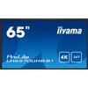 iiyama ProLite LH6570UHB-B1, 165cm (65''), 4K, 700cd