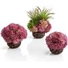 biOrb 73540 Set di sfere di corallo viola - piccoli coralli artificiali affondanti a forma di sfera come decorazione vegetale per acquario d'acqua salata e d'acqua dolce