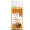 MOLINO RIVETTI PIETRO Srl Pane Grattuggiato Il Pane di Anna 250g
