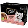 Cesar Dog Selezione Delizie del Giorno Multipack 12x100 gr - In Salsa - SPEDIZIONE GRATIS 1° ORDINE + scegli lo sconto BZR5 / BZR20