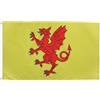 AZ FLAG Bandiera Contea di Somerset 90x60 cm Poliestere 100D 2 Occhielli | Uso interno ed esterno bandiera decorativa del Contea di Somerset doppie cuciture e bordi rinforzati con occhielli metallici