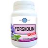 BODYLINE SRL FORSKOLIN FORTE 60CPS