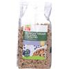Crunchy La Finestra Sul Cielo Crunchy Vegan con Avena e Mirtilli BIO 375 g Altro