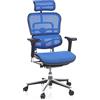 HJH Office 652150 Sedia Direzionale ergonomico ERGOHUMAN Poltrona Girevole da Ufficio con Supporto lombare, Seduta e Schienale in Rete Respirante, Blu