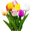 SZXMDKH 8Pcs Fiori Artificiali di Tulipani Tulipani Finti Bouquet Real Touch Flowers for Decor, Matrimonio,Casa,Festa,Festival,Composizioni Floreali,Bouquet da Sposa(Colorato)