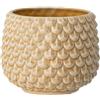 Nordring Vaso Pino - per Fiori da Interno e Piante da Interno, Piante grasse, Cactus, Orchidee L (16,5 cm ø), Avorio-Giallo, Ceramica Gres