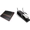 AKAI Professional MidiMix - Mixer e Controller MIDI USB Leggero e Professionale + Ableton Live Lite & M-Audio SP-2 - Pedale universale Sustain con azione in stile piano, l'accessorio ideale