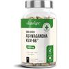 VitaBright Ashwagandha KSM-66 Capsule Bio | 5500 mg Derivato da 550 mg di Estratto Alta Concentrazione in Polvere | 3 Mesi | Ashwagandha Pura Biologica | Ginseng Indiano | VitaBright