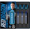 RED DRAGON Gerwyn Price 20g Peso del Barilotto, 22g Peso Totale Softip Tungsten Darts con Voli e Albero