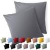 Blumtal Federe Cuscini Divano 60x60 cm - Set di Copricuscini per Divani in Microfibra a 2 Pezzi con Chiusura a Busta, certificati Oeko-Tex, extra morbidi e lavabili - Grigio