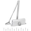 QWORK® chiudiporta automatico, chiudiporta automatico idraulico, tenere aperto, per porta interna e porta esterna, 40-60 kg,argento