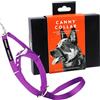 Canny Collar - Collare a Cavezza Addestramento Cane | Collare Anti‑Tiro Gentile e Sicuro | Camminate Piacevoli Senza Stress - Viola - Taglia 3