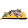 Globus Italia srl Magnetoterapia Veterinaria Globus Magnetovet 200 con cuccia