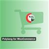 WP SYNTEX Polylang for WooCommerce