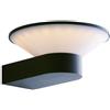 OUTLET APPLIQUE LED WIZARD ANTRACITE 10W 400LM RGB+CCT IP54 WIFI 20,4X8,7CM