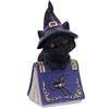 Nemesis Now Pocus - Piccola Statuetta di Gatto Nero familiare con Libro degli incantesimi, Viola, 12,7 cm