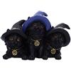 Nemesis Now Familiar felini Gatti Neri con Cappelli da Streghe, 9,8 cm