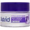 Astrid Collagen PRO Anti-Wrinkle And Replumping Day Cream crema da giorno antirughe 50 ml per donna