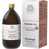 GIANLUCA MECH Srl Gianluca Mech Decottopia Mamma Più 500ml - Integratore Alimentare Liquido per la Funzione Digestiva