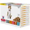 HILLS Hill's Science Plan Sterilised Cat Busta Multipack 12x85G MIX CARNE E PESCE