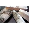 Ceppi Ceramici Decorativi