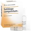 Solidago compositum 10x2,2 ml Fiale