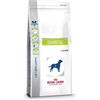 ROYAL CANIN ITALIA SpA Veterinary Diet Canine Dry Diabetic 1,5 Kg