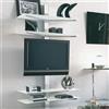 Ponti Terenghi X.Abitare X.ABITAre Porta TV Erik art. XL.82.A con struttura in metallo da L.100 cm e H.170 cm - Con fissaggio a muro