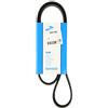 DAYCO 6PK1155 CINGHIA POLY-V CITROEN BERLINGO PICASSO