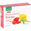 NATURA SERVICE SRL Rosa Canina Energie Integratore Ricostituente 10 Ampolle x 10 ml