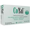 INTERFARMAC Srl COYAL 30CPR 1300MG