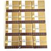 Vijayshree Golden Nag Chandan Sandalwoofd incenso x 12 scatole