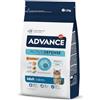 Advance Adult - Cibo per Gatti Adulti con Pollo e Riso - 1.5kg