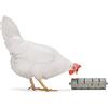 Beeztees BZ Huehner - Rullo per snack, 22,5 x 6,5 cm, colore: Grigio