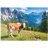 MyPuzzle.com MyPuzzle Mucca Al Pascolo Su Un Prato Alpino Nelle Dolomiti - Premium 500 Pezzi Puzzle - MyPuzzle Collezione speciale di Puzzle Galaxy