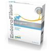 Super offerta - DRN ENTEROFILUS FIALE 12 x 10 ML