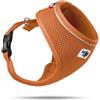 Curli PETTORINA BASIC A.M. ARANCIONE S