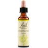 Schwabe Pharma Fiori di Bach Honeysuckle per nostalgia del passato 20 ml
