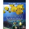 Universal L'affascinante Barriera Corallina 3D - Vol. 2 - Misteriosi mondi sommersi (Blu-Ray 3D/2D)