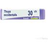 Thuya Occidentalis 30 Ch Globuli