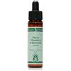 NATUR Air Formula 10ml