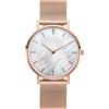 Basfur Dress Watch Fe-Montre-063-01