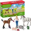 SCHLEICH Veterinaria con Giumenta e Puledro