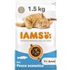 IAMS Cibo secco con pesce oceanico per gatti da 1+ , 1,5 kg