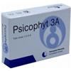 BIOGROUP SPA SOCIETA BENEFIT Psicophyt Remedy 3a 4 Tubi 1,2 G