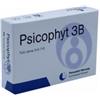 BIOGROUP SPA SOCIETA BENEFIT Psicophyt Remedy 3b 4 Tubi 1,2 G