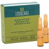 DIFA COOPER SPA Endocare B 7 Fiale 1 Ml
