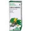 SPECCHIASOL SRL Cardo Mariano 6 50ml Tm
