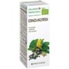 SPECCHIASOL SRL Echinacea 59 50ml Tm