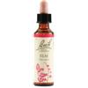 SCHWABE PHARMA ITALIA SRL Elm Bach Orig 20 Ml